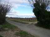 View from the new Colombiers site